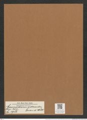 Coscinodiscus asteroides Truan et. Witt. (de-Toni-Nr.: Genus 202, Species 4986) Zeichnungen Sammlung Grunow Mappe 04799 (Herbarium_W_Grunow_drawings_Folder_04799)